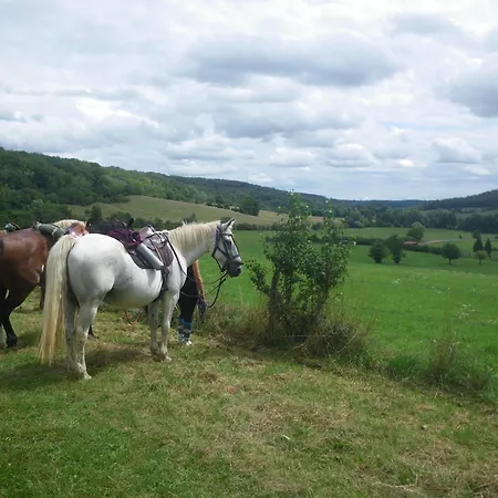 Triple Du Grand Sapin 3* Chaudenay (Haute-Marne)