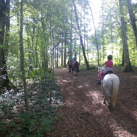 Triple Du Grand Sapin Frühstückspension 3*