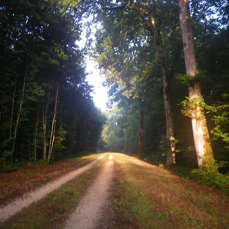 Triple Du Grand Sapin