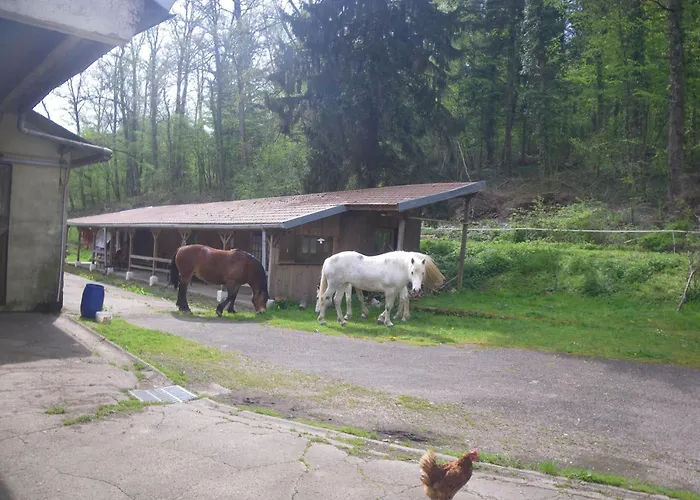 Bed and breakfast Triple Du Grand Sapin