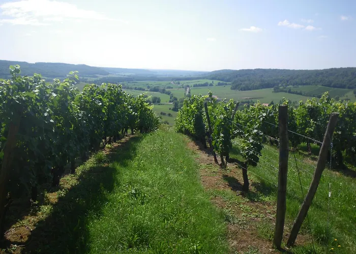 Triple Du Grand Sapin Bed and breakfast 3*